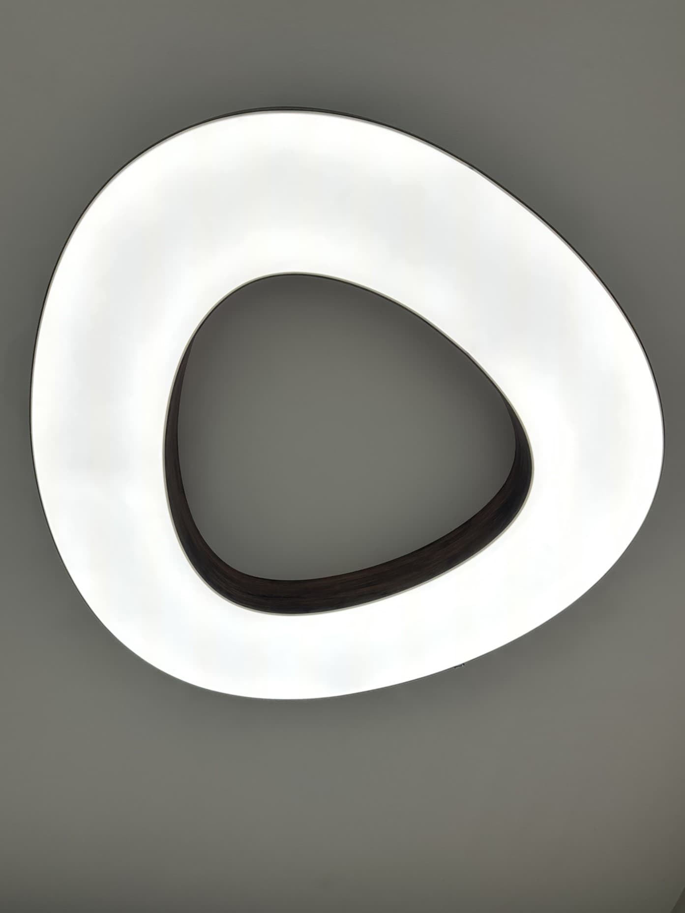 OPTIMUS LIGHT LED stropné svietidlo