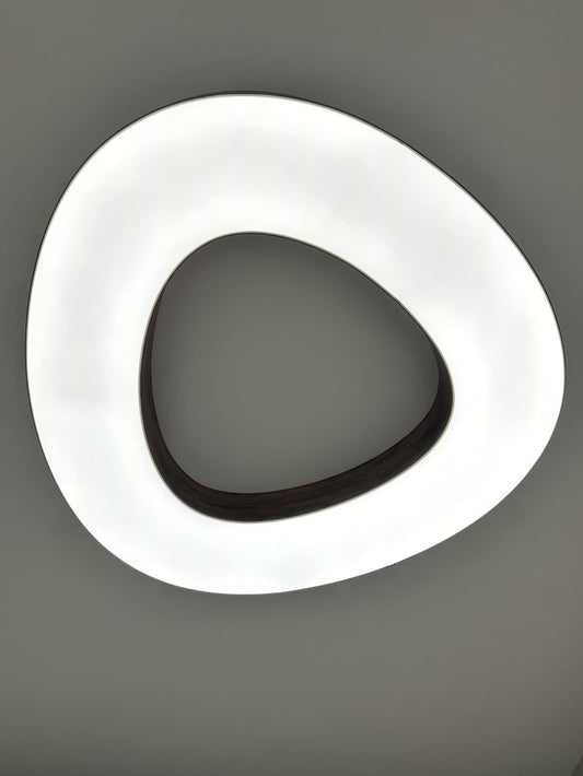 OPTIMUS LIGHT LED stropné svietidlo